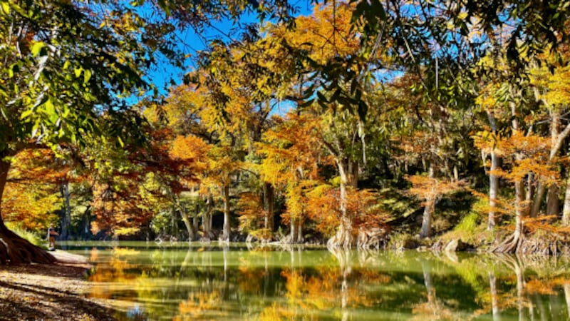 August In Texas Where to enjoy fall foliage in Texas state parks