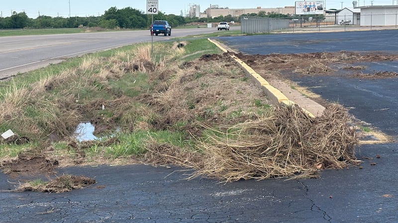 A 13-year-old boy was killed in Iowa Park when he was hit while riding his bicycle early...