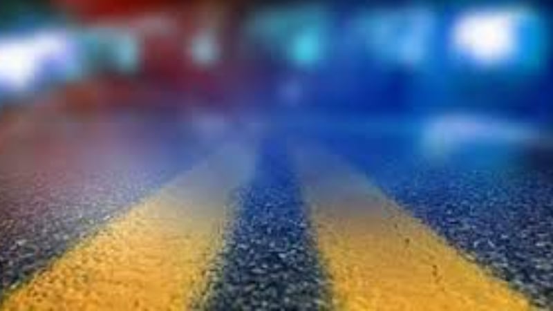 The teen got out of the car and walked into the path of the truck and was killed, according to...