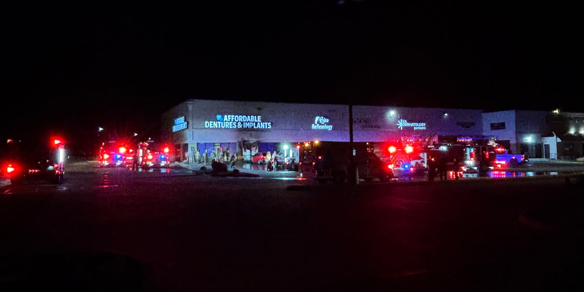 Drunk driver crashes into business