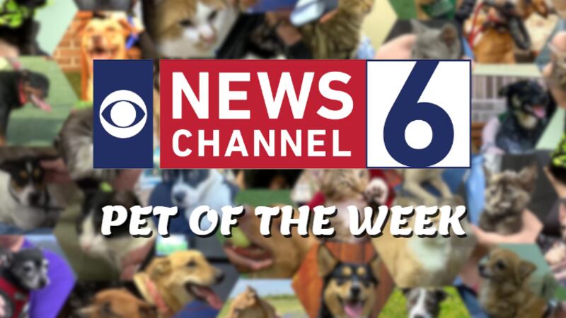 Pets Channel Pet of the Week: Uncle Cecil