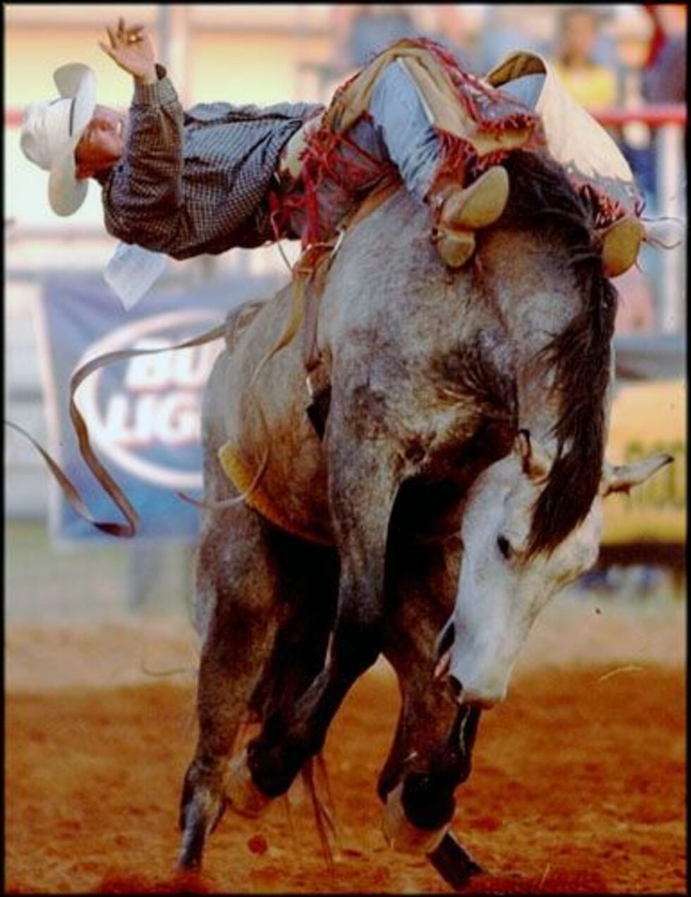 Red Suspender Rodeo Fun For The Family At The Red River Rodeo