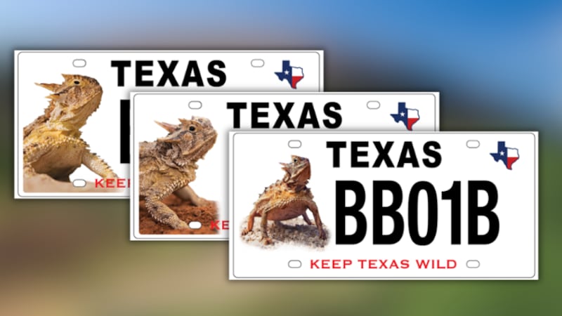 Conservation License Plate Program looking for input on 25-year ...